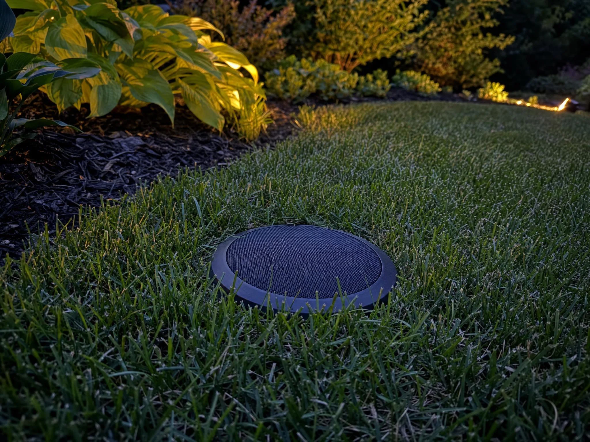 The round cap of an in-ground subwoofer rests low in a lawn at dusk beside a lit bed of hostas and shrubs.